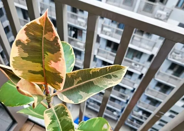 Apartment Haven Manila